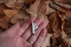 Fehu Wolf Bone and Silver Talisman