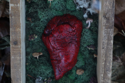 Bisected Whitetail Deer Heart Garden