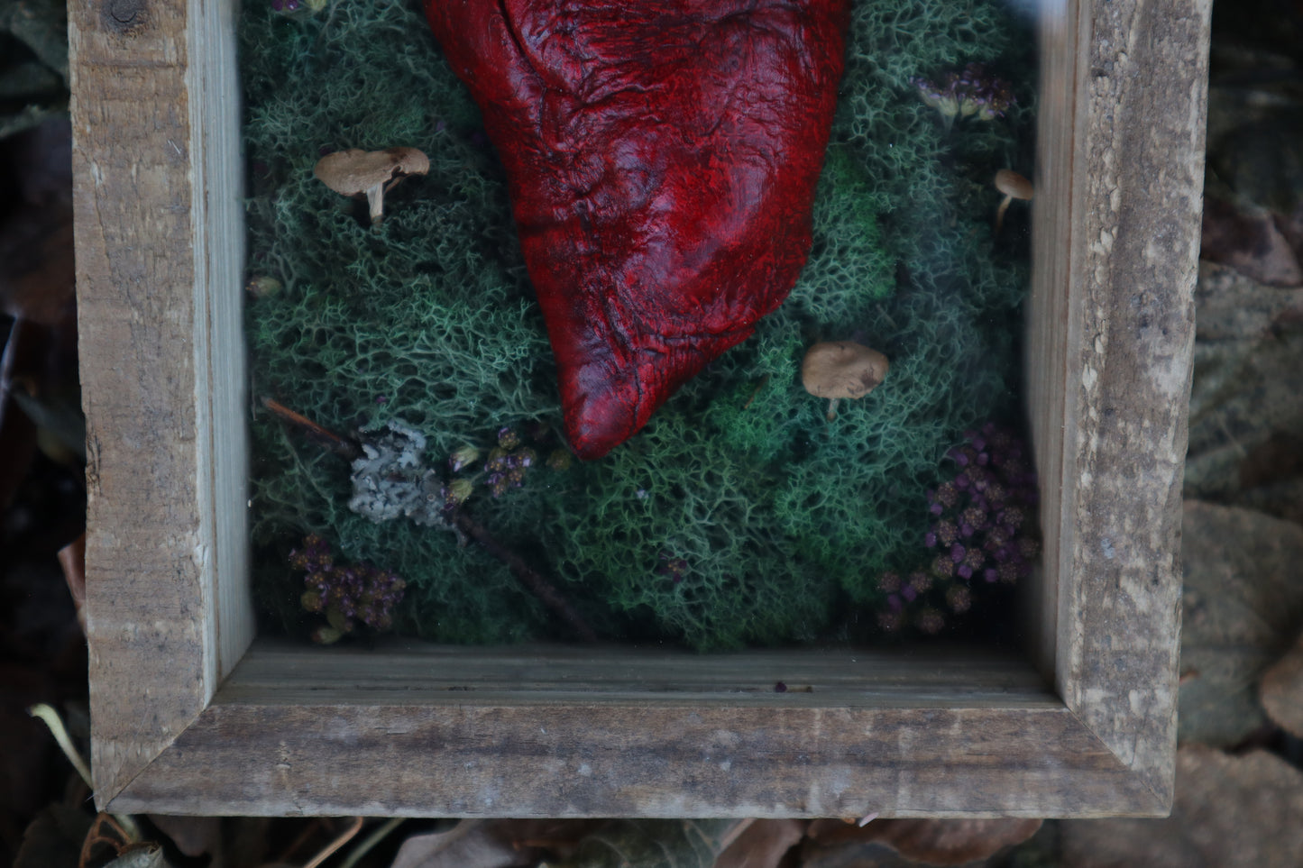 Bisected Whitetail Deer Heart Garden