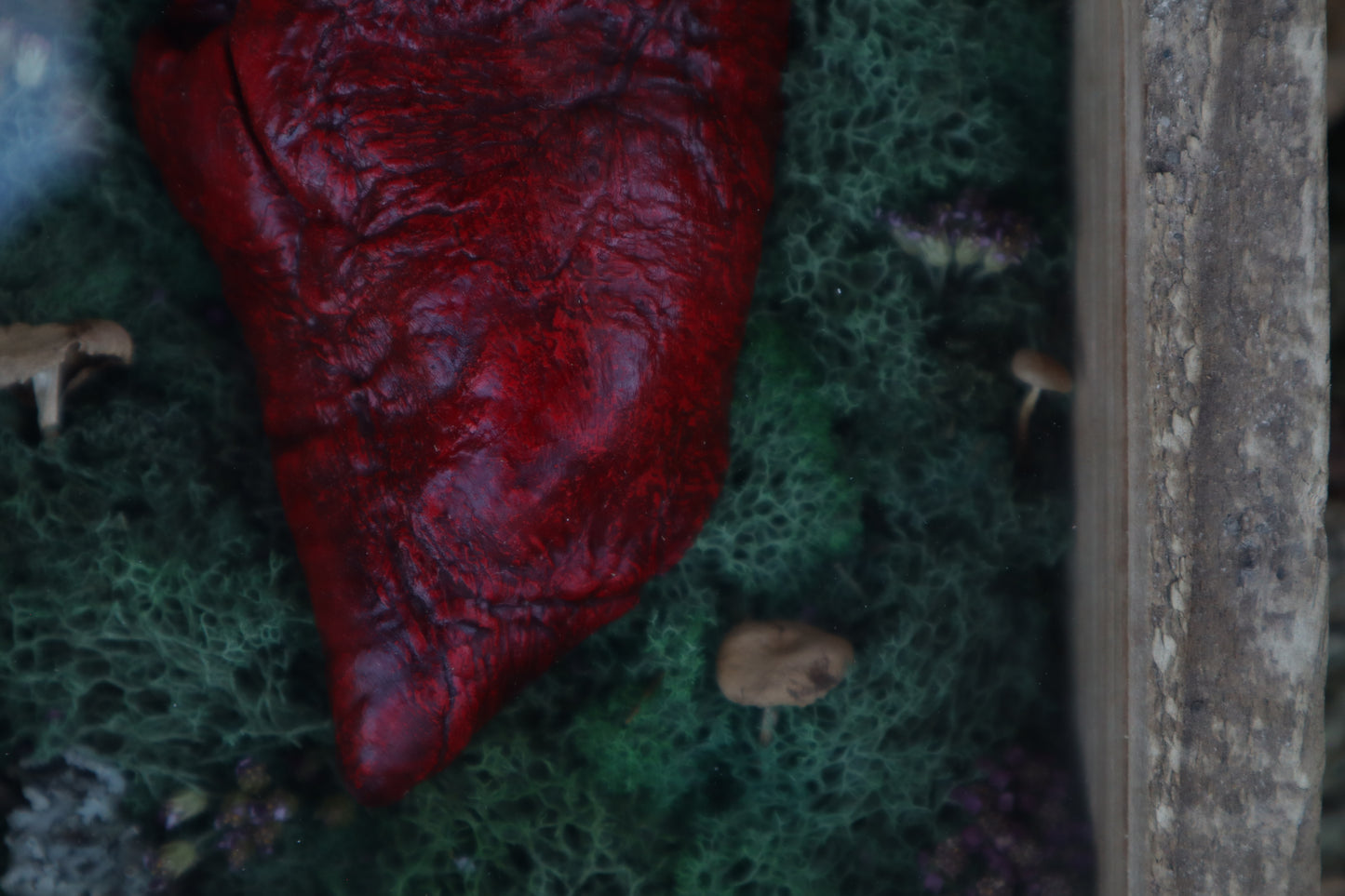 Bisected Whitetail Deer Heart Garden