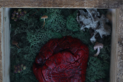 Bisected Whitetail Deer Heart Garden