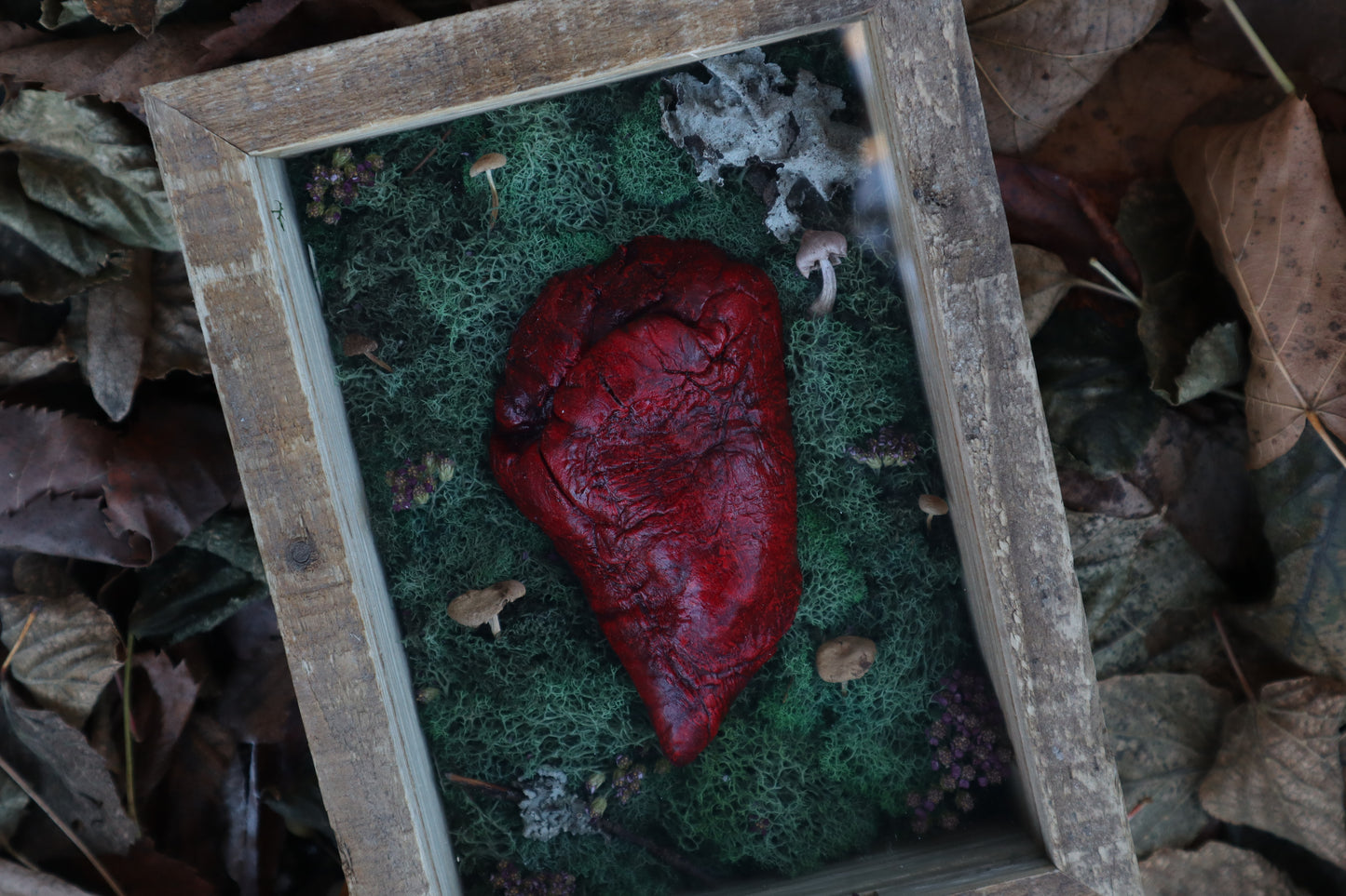 Bisected Whitetail Deer Heart Garden