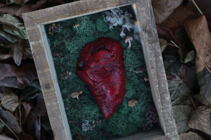 Bisected Whitetail Deer Heart Garden