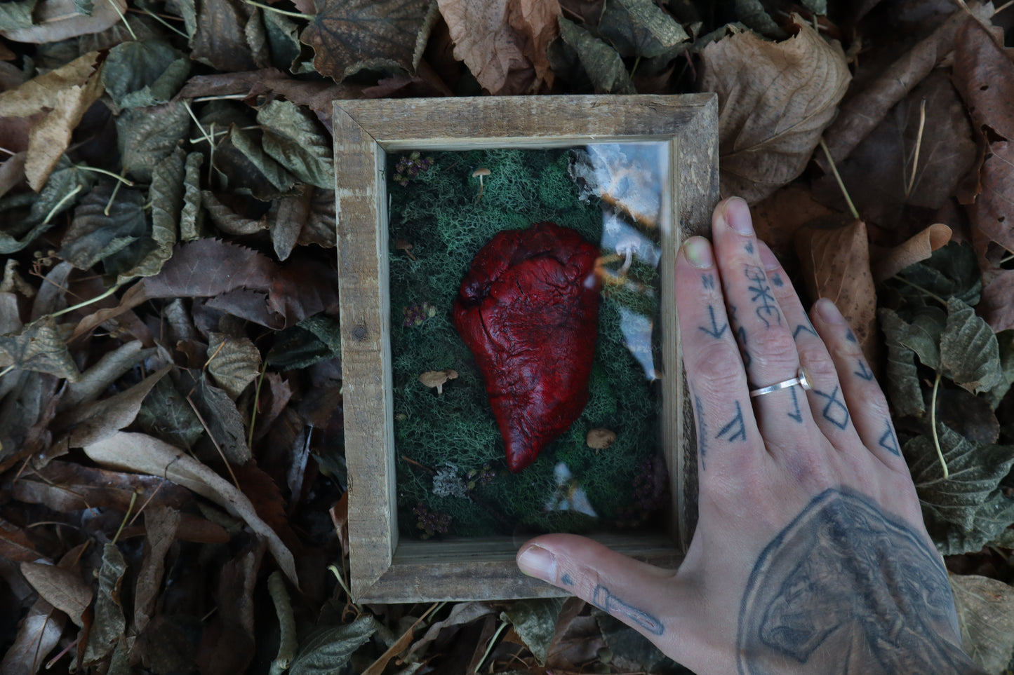 Bisected Whitetail Deer Heart Garden