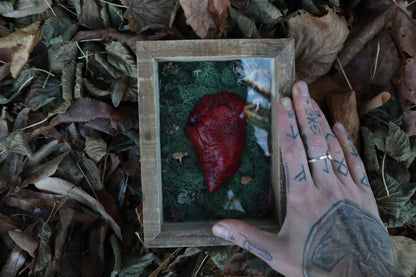 Bisected Whitetail Deer Heart Garden