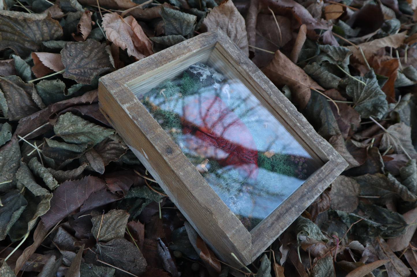 Bisected Whitetail Deer Heart Garden