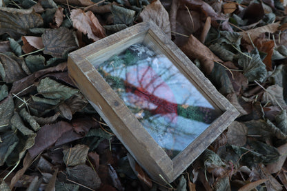 Bisected Whitetail Deer Heart Garden