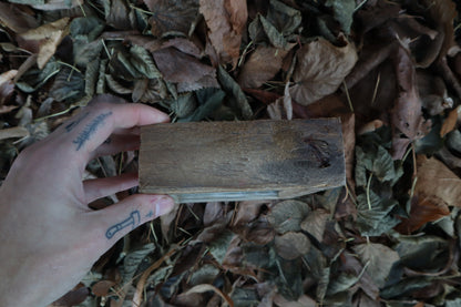 Bisected Whitetail Deer Heart Garden