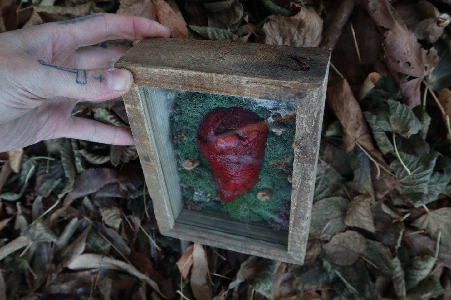 Bisected Whitetail Deer Heart Garden