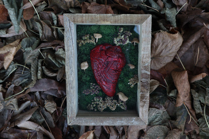 Bisected Whitetail Deer Heart Garden