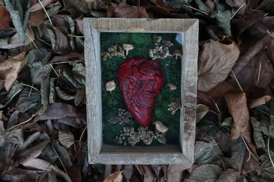 Bisected Whitetail Deer Heart Garden