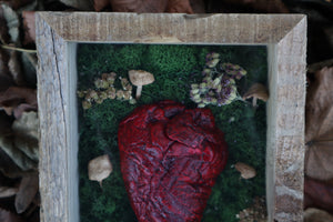 Bisected Whitetail Deer Heart Garden