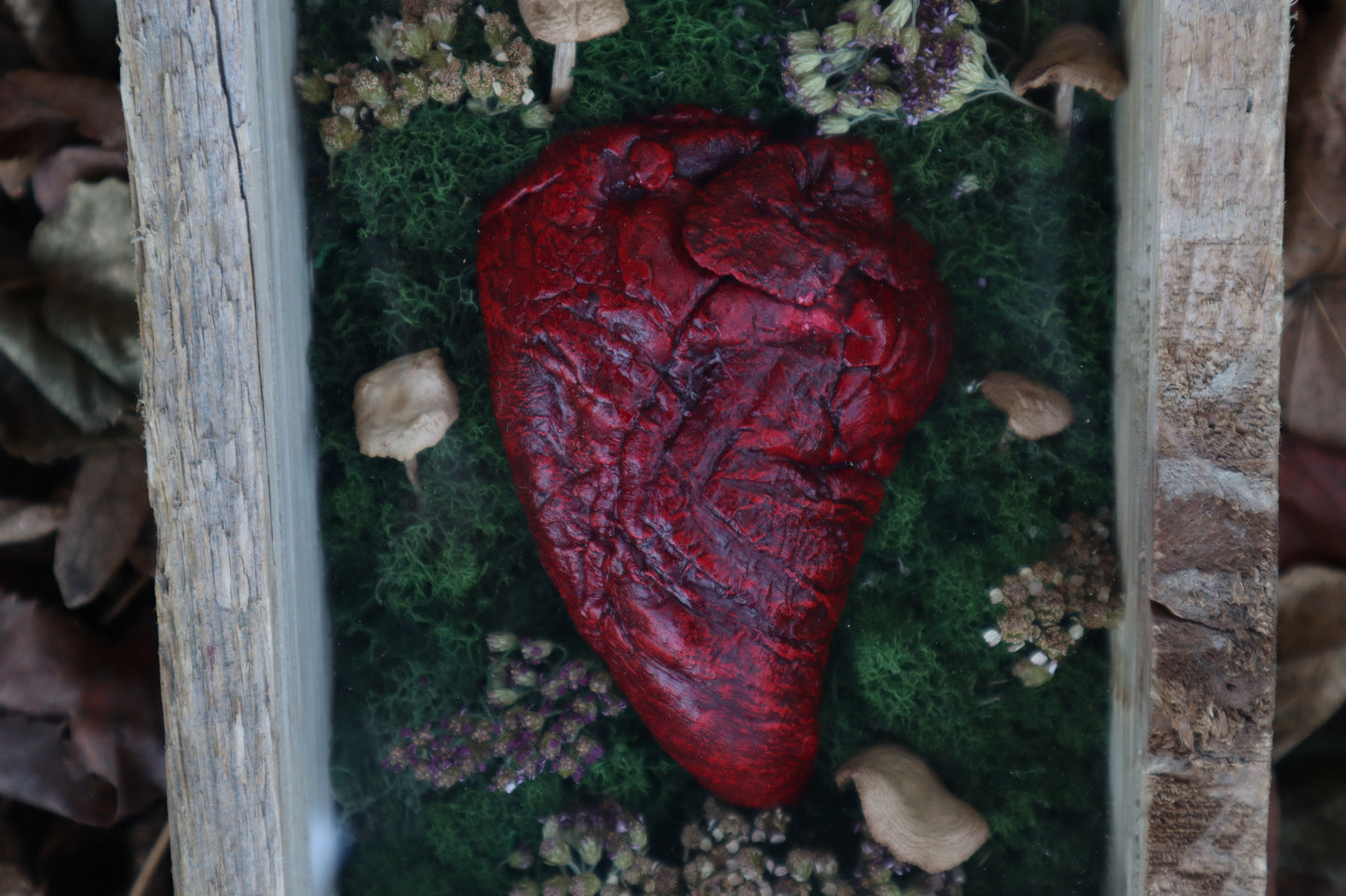 Bisected Whitetail Deer Heart Garden
