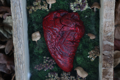Bisected Whitetail Deer Heart Garden
