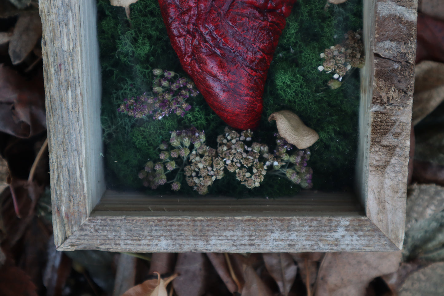 Bisected Whitetail Deer Heart Garden
