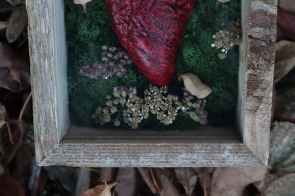 Bisected Whitetail Deer Heart Garden