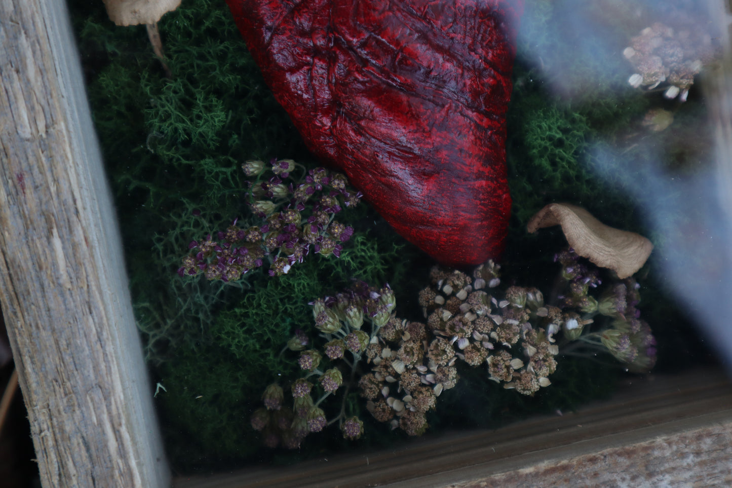 Bisected Whitetail Deer Heart Garden