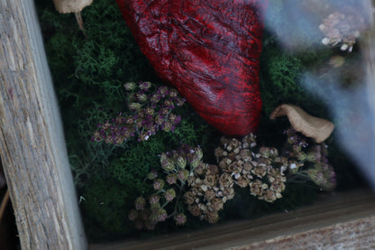 Bisected Whitetail Deer Heart Garden