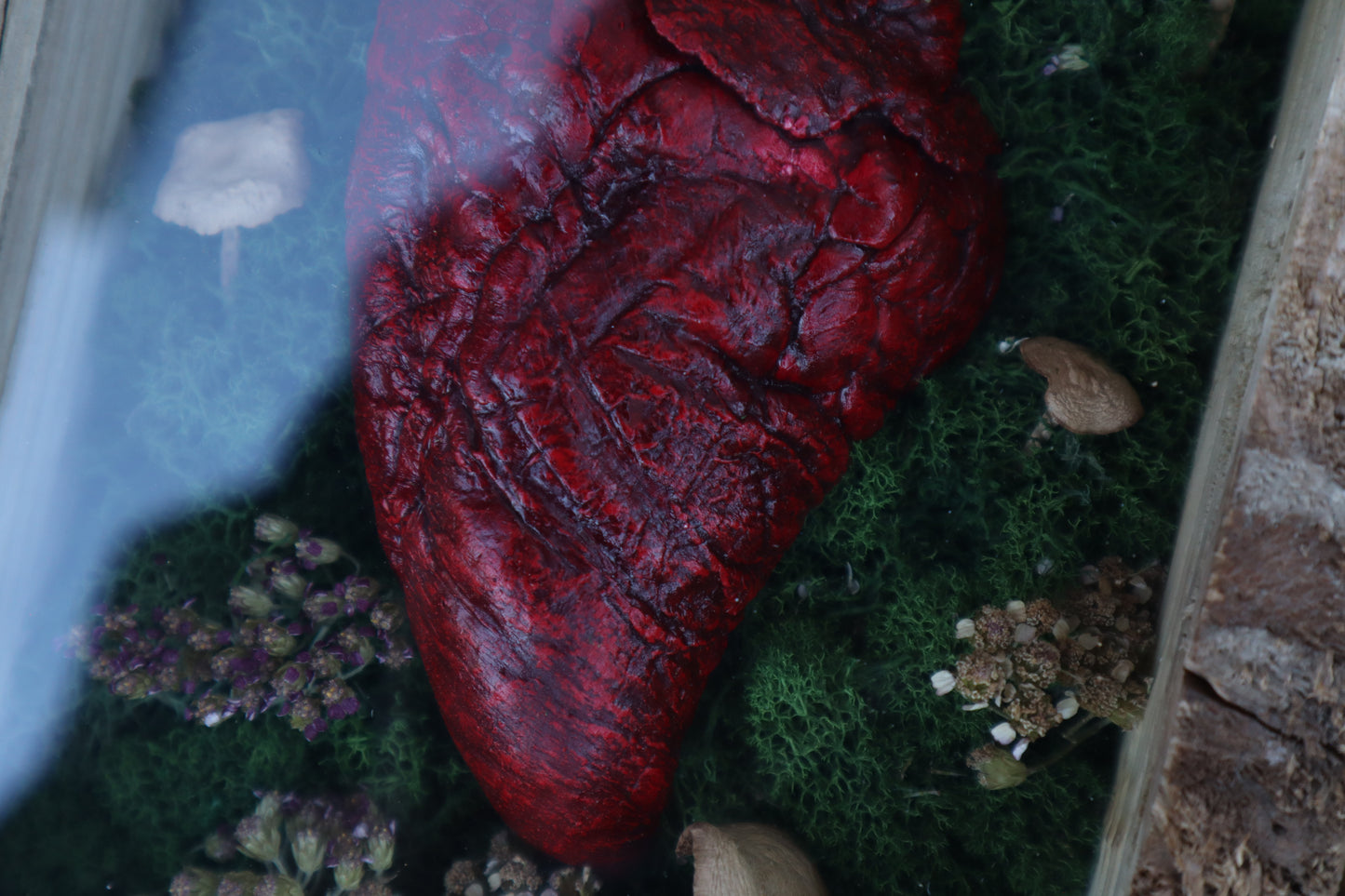 Bisected Whitetail Deer Heart Garden