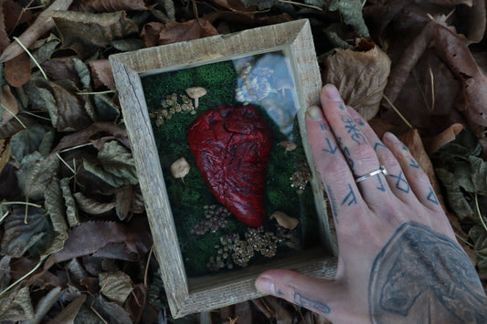 Bisected Whitetail Deer Heart Garden