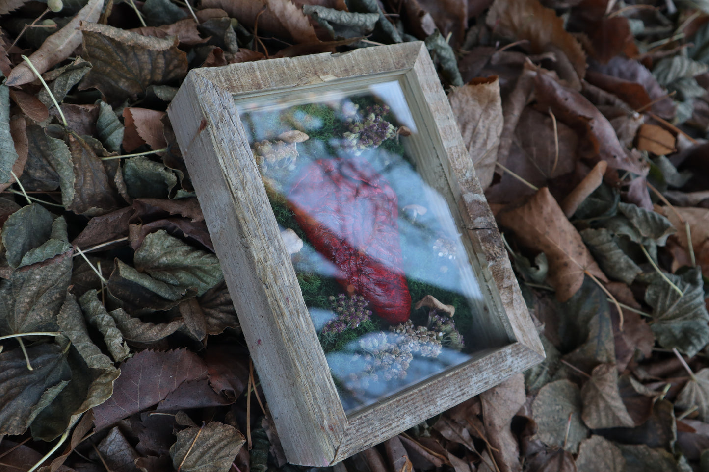 Bisected Whitetail Deer Heart Garden