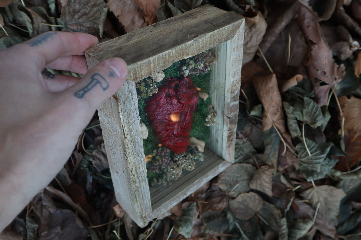 Bisected Whitetail Deer Heart Garden
