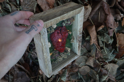 Bisected Whitetail Deer Heart Garden