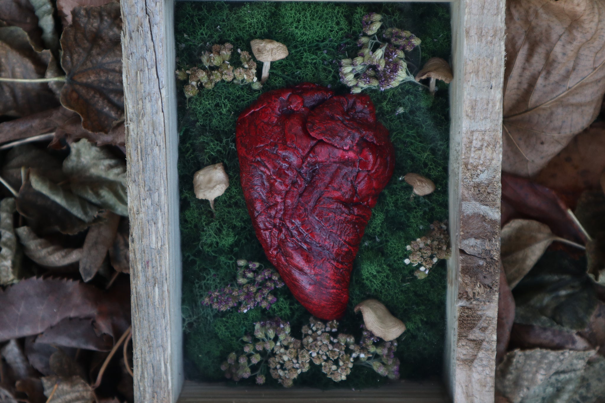 Bisected Whitetail Deer Heart Garden