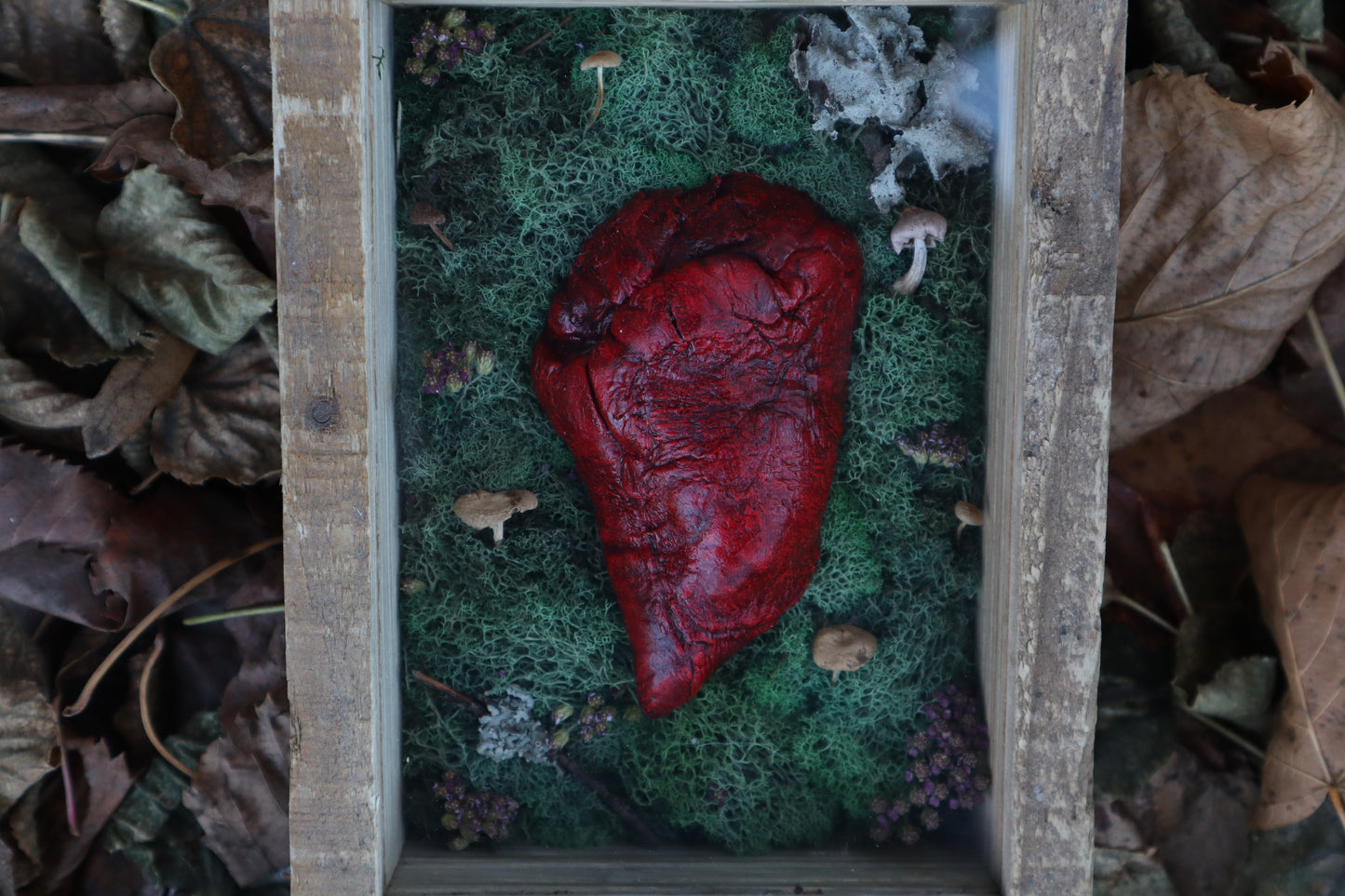 Bisected Whitetail Deer Heart Garden