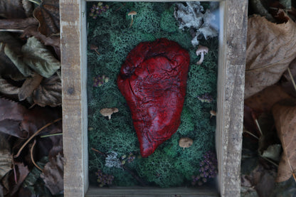 Bisected Whitetail Deer Heart Garden