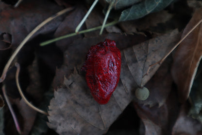 Dry Preserved Chicken Heart