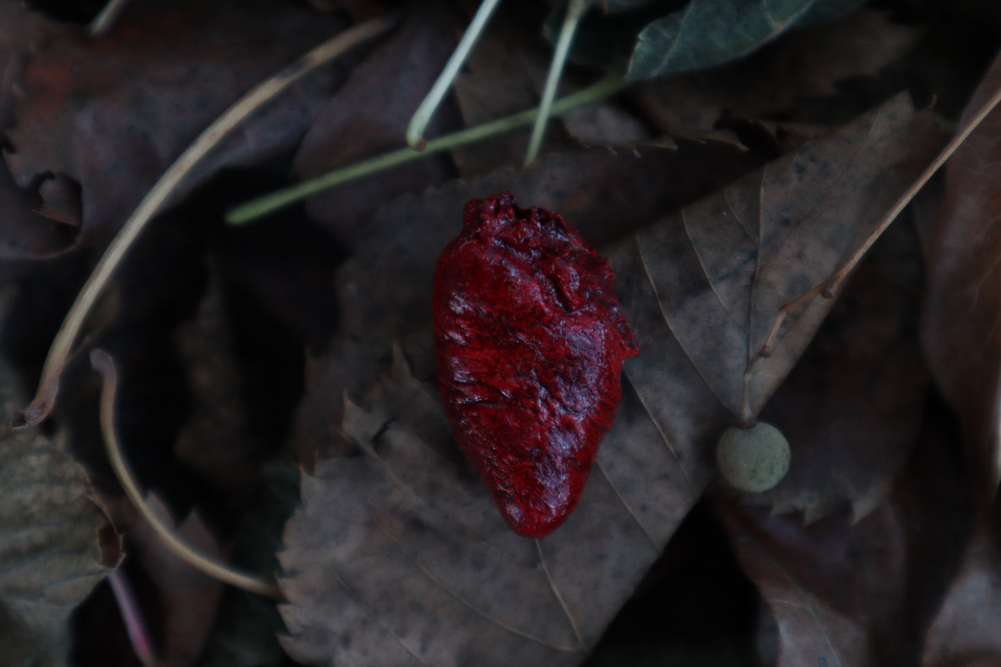 Dry Preserved Chicken Heart
