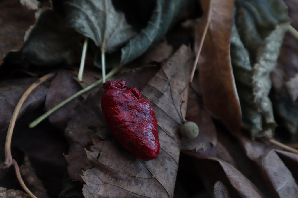 Dry Preserved Chicken Heart