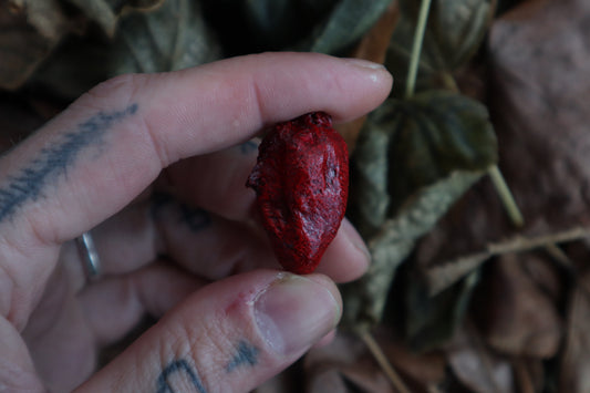 Dry Preserved Chicken Heart