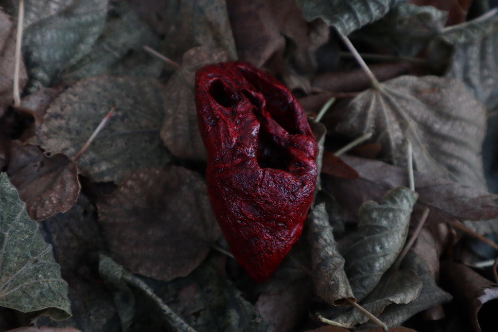 Dry Preserved Lamb Heart