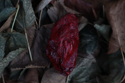 Dry Preserved Lamb Heart