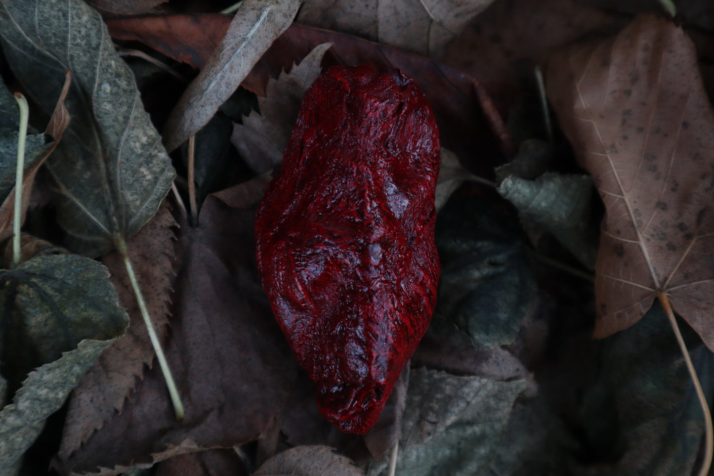 Dry Preserved Lamb Heart