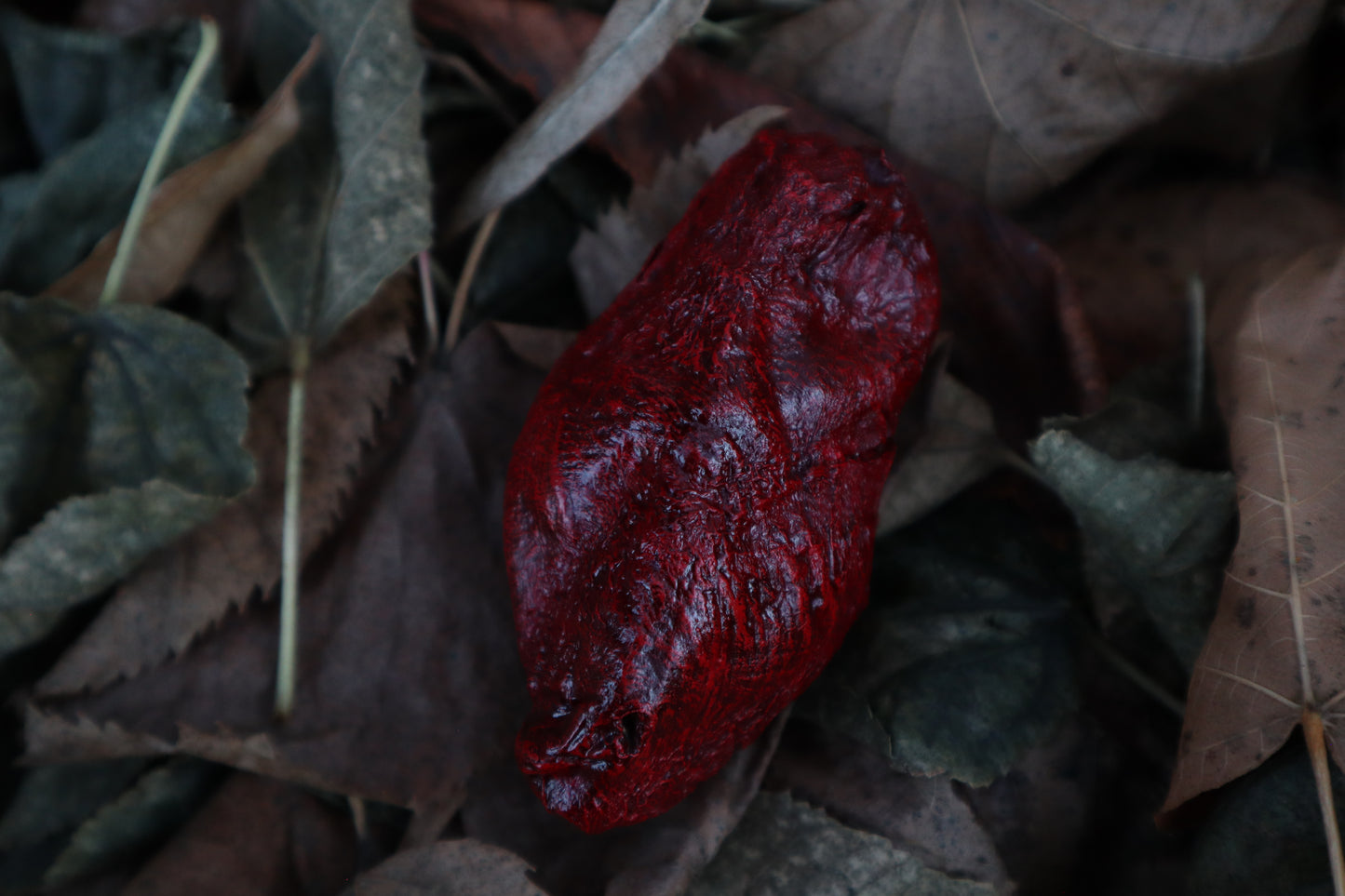 Dry Preserved Lamb Heart