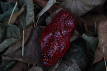 Dry Preserved Lamb Heart