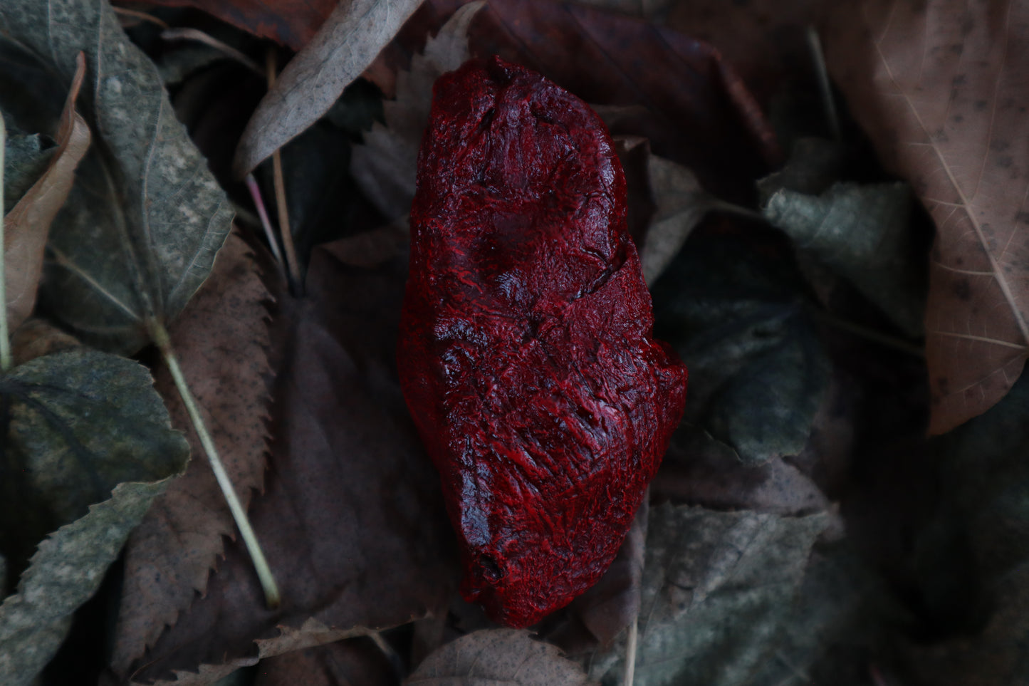 Dry Preserved Lamb Heart