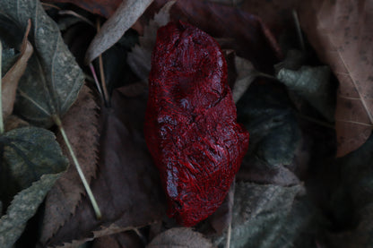 Dry Preserved Lamb Heart