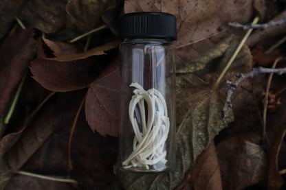 Kitten Ribs in Glass Jar