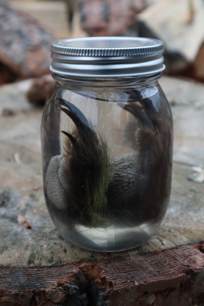 Porcupine Paws Wet Specimen
