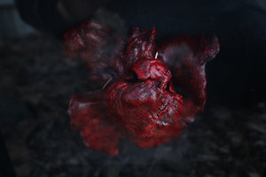 Dry Preserved Black Wolf Heart and Lungs