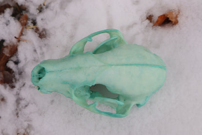 Blue Copper Raccoon Skull