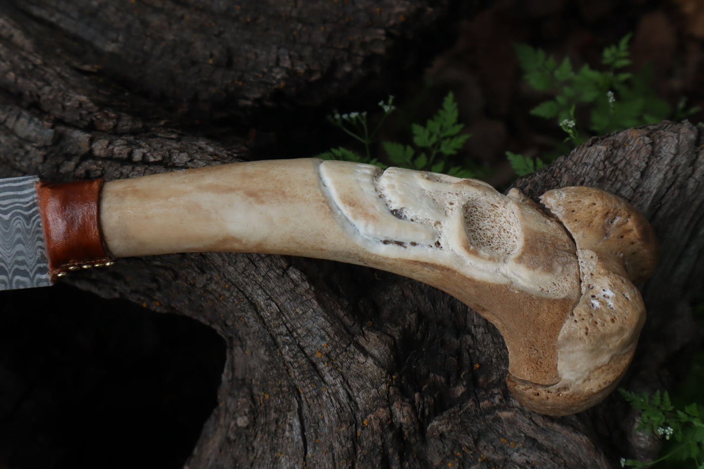 Reserved for Brandon - German Shepherd Bone Skull Knife