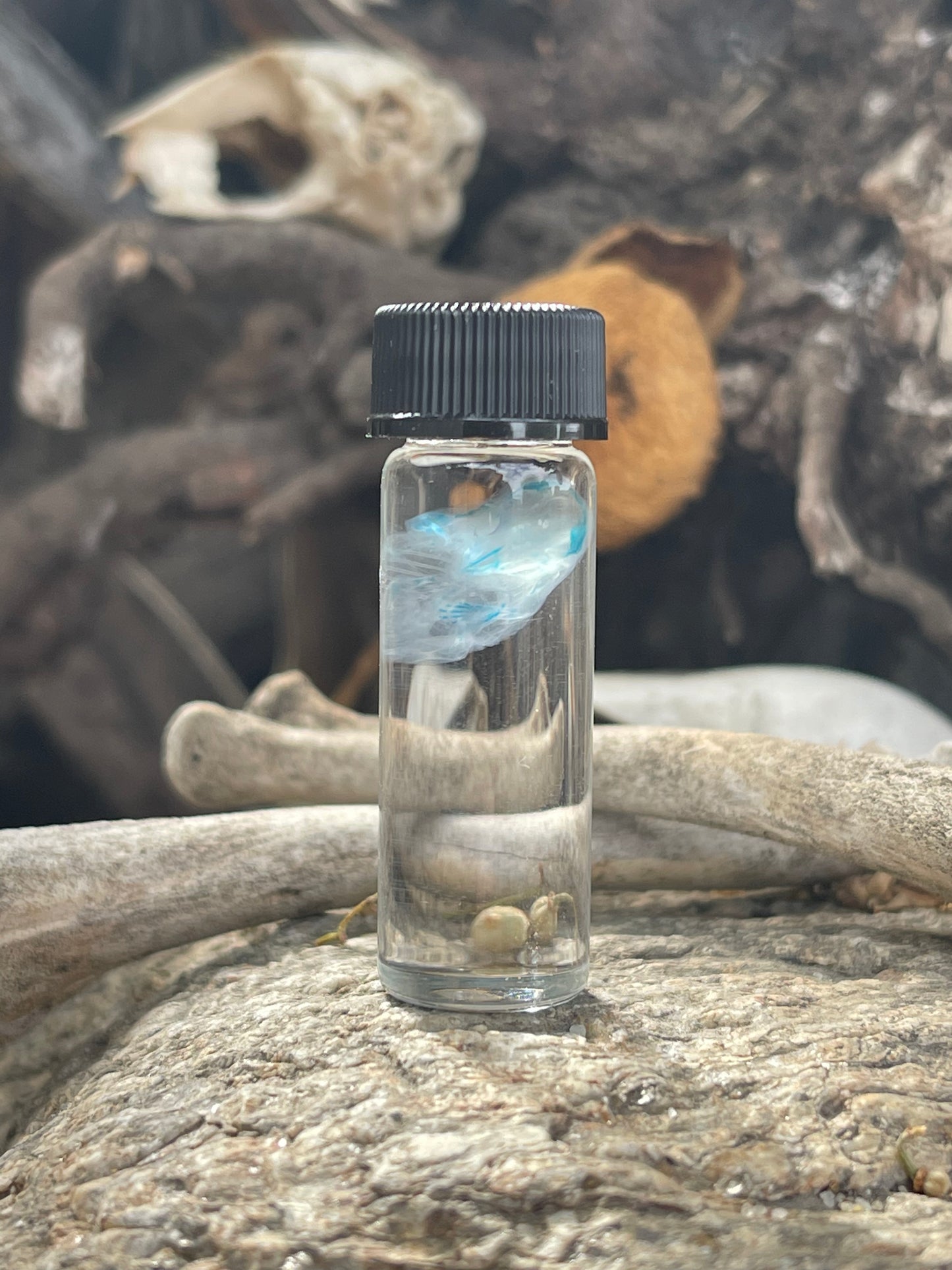 Diaphonized Fetal Mouse