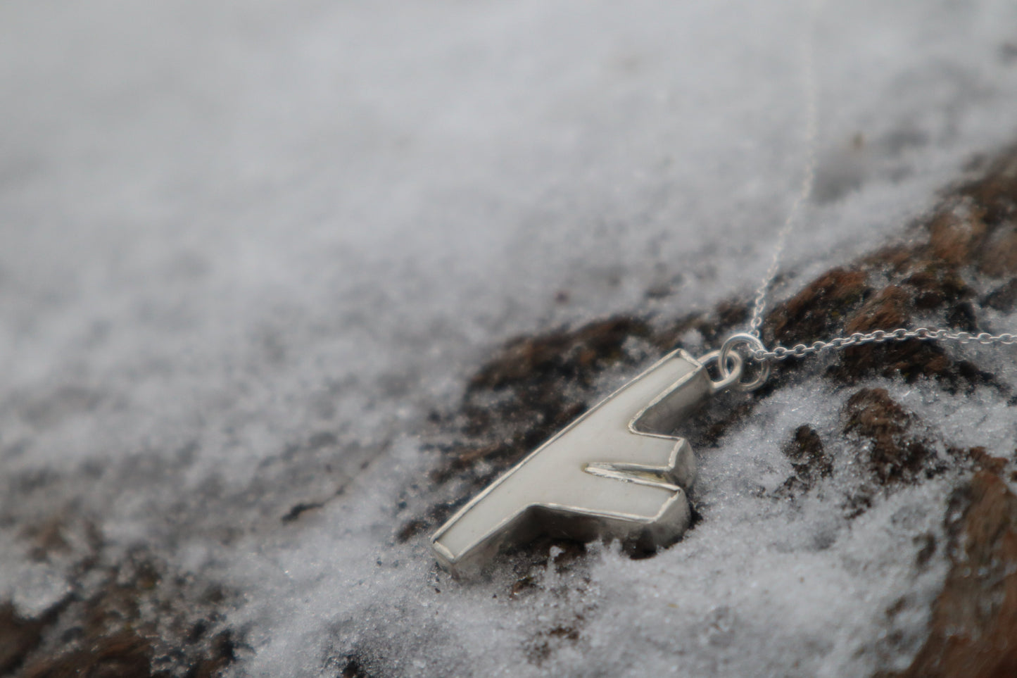 Reserved for Denea - Fehu Wolf Bone and Silver Talisman
