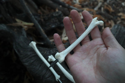 Reserved for Vinette - Red Fox Bone Calligraphy Pen