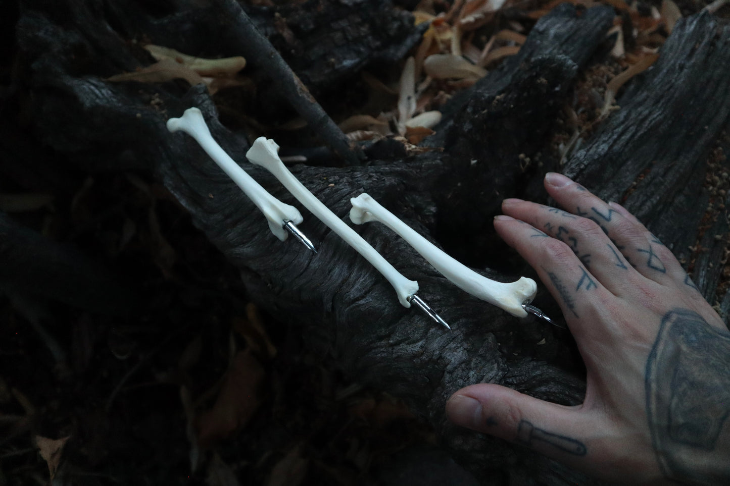 Reserved for Vinette - Red Fox Bone Calligraphy Pen